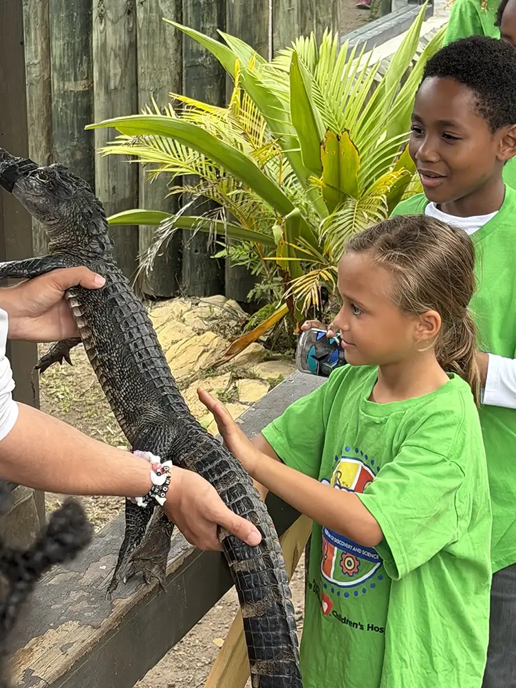 Two BGCBC Club members looking at a baby alligator, which is being held out to them by a trained handler. One of the club members reaches out to touch the back scales of the baby alligator